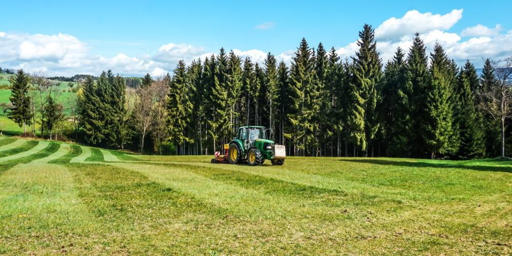 Kuchis Bienenwiese powered by GeiAir_07