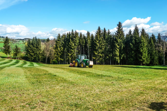 Kuchis Bienenwiese powered by GeiAir_07