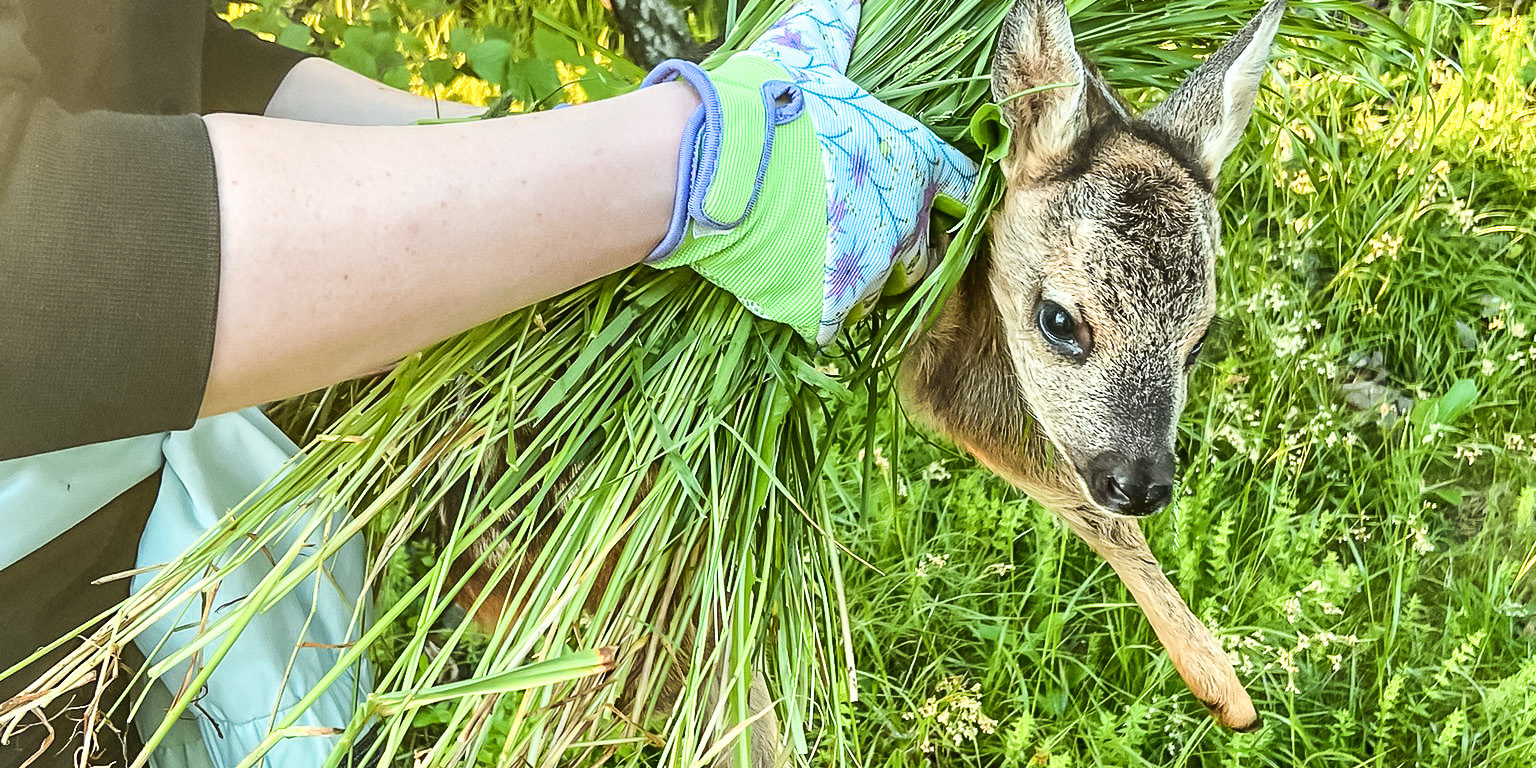 b5ec1b66-699a-42c9-80b8-fbf608a415a7